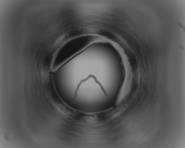 X0000092270552200709141203
