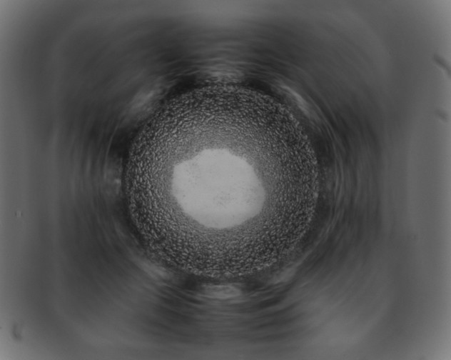 X0000092270553200709141203