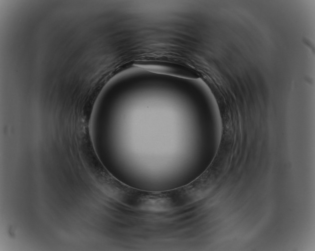 X0000092270555200709141203