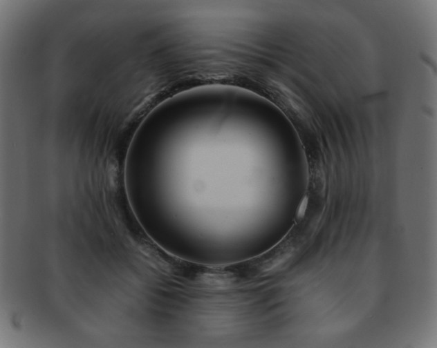 X0000092270556200709141203