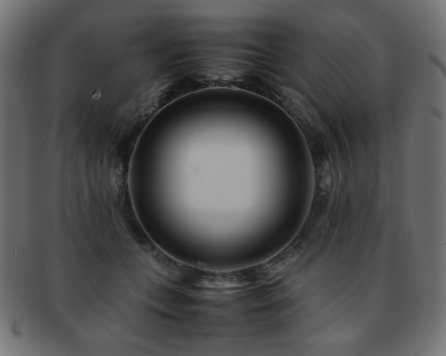 X0000092270559200709141203