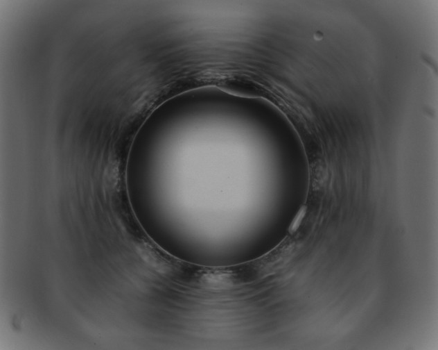 X0000092270560200709141203