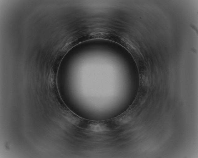 X0000092270561200709141203