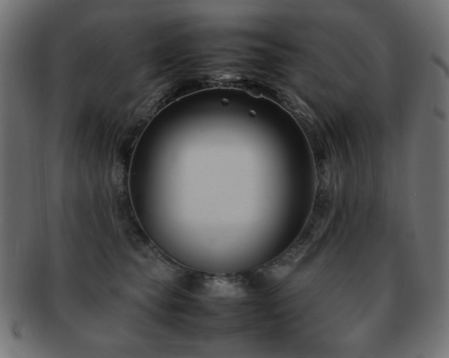 X0000092270565200709141203