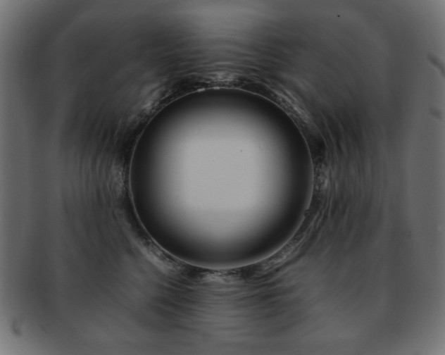 X0000092270568200709141203