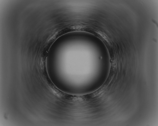 X0000092270572200709141203