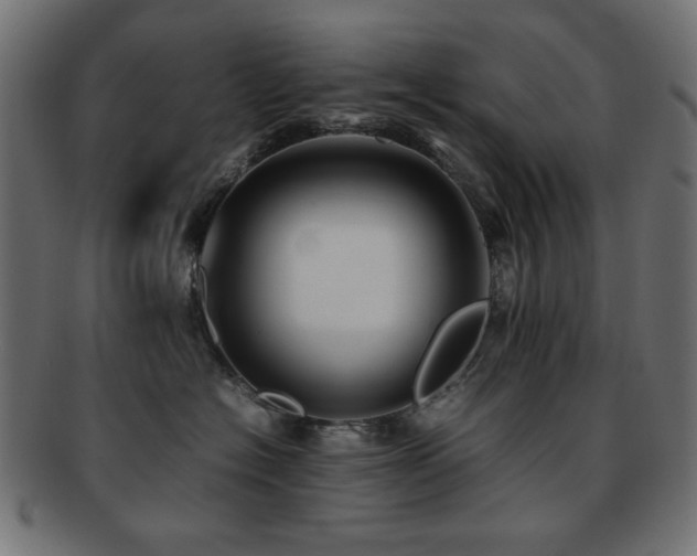 X0000092270574200709141203
