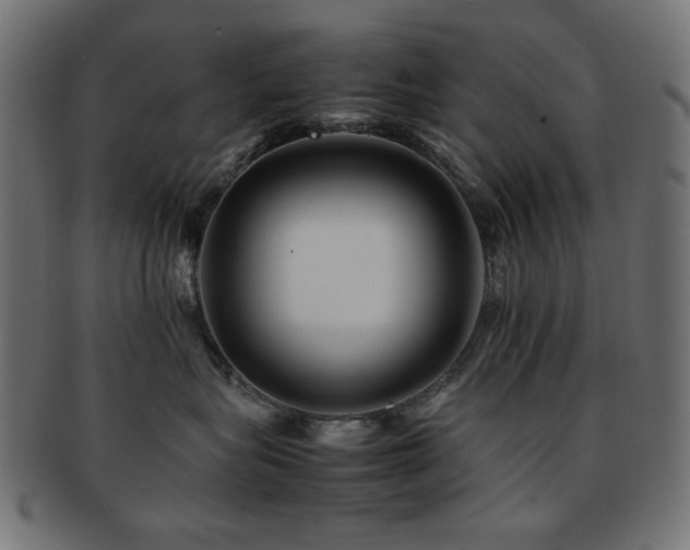 X0000092270575200709141203