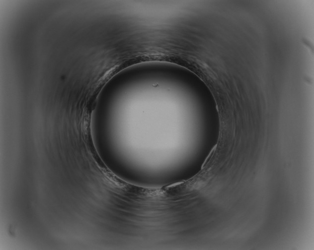 X0000092270576200709141203