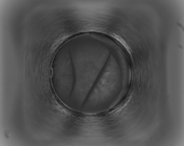 X0000092270577200709141203