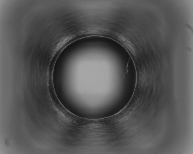 X0000092270578200709141203