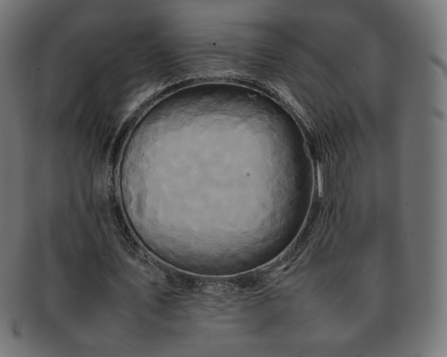 X0000092270579200709141203