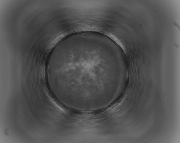 X0000092270581200709141203