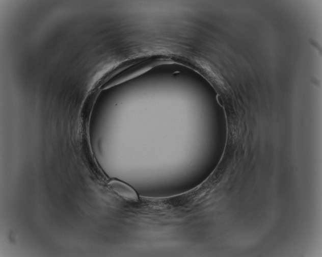 X0000092270583200709141203