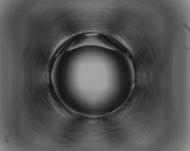 X0000092270584200709141203