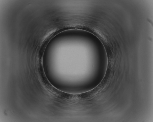 X0000092270587200709141203