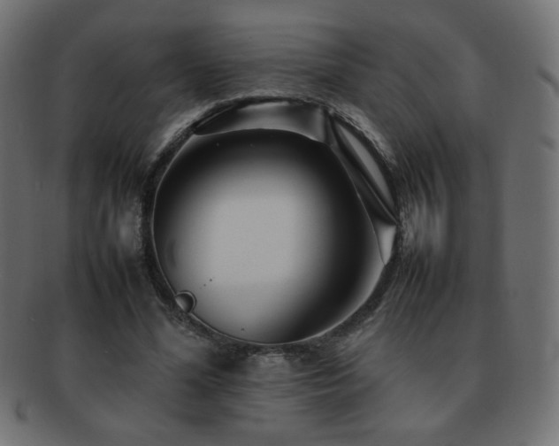 X0000092270588200709141203