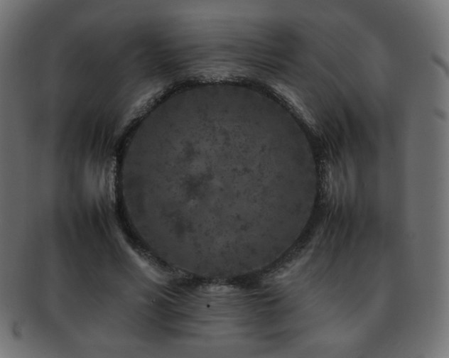 X0000092270590200709141203
