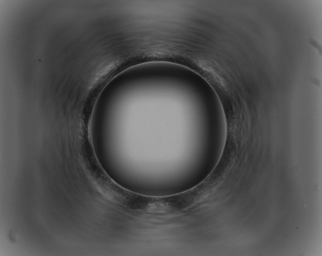 X0000092270591200709141203