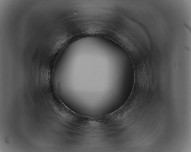 X0000092270592200709141203
