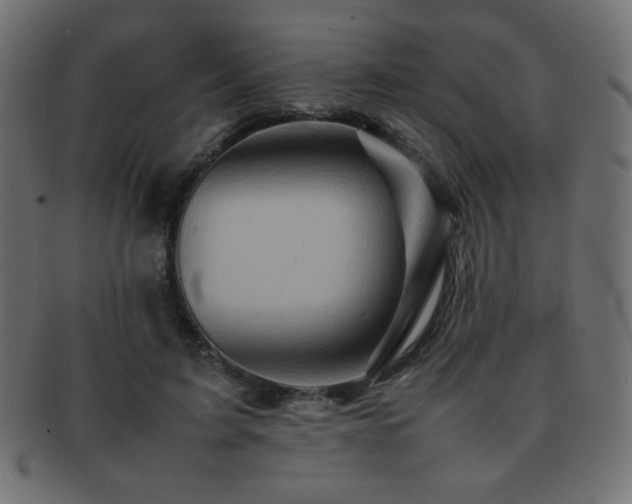 X0000092270595200709141202