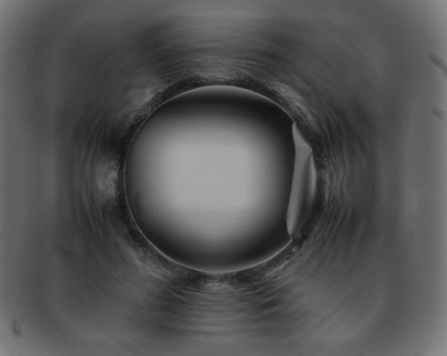X0000092270596200709141202