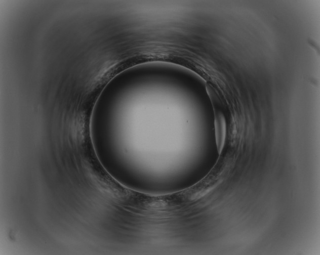 X0000092270600200709141202