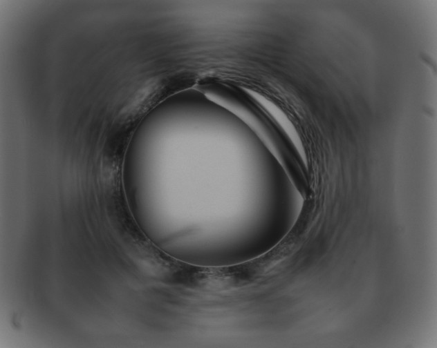 X0000092270601200709141202