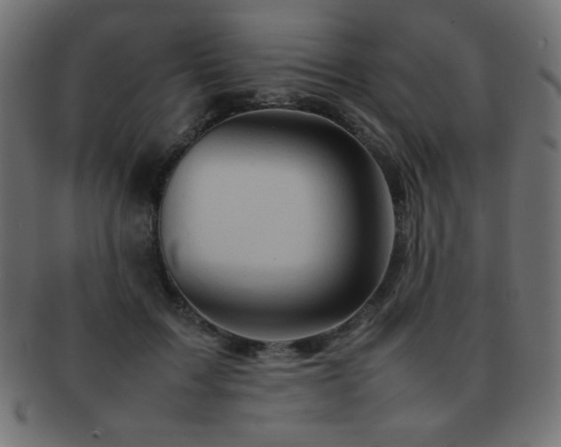 X0000092270603200709141202