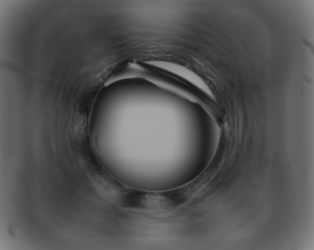 X0000092270605200709141202