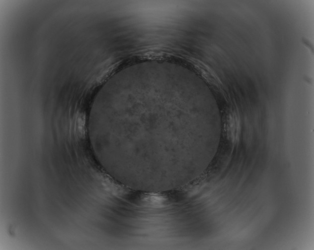 X0000092270610200709141202