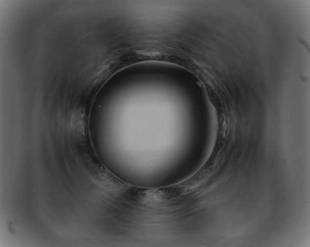 X0000092270612200709141202