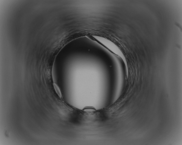 X0000092270613200709141202