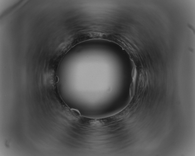 X0000092270616200709141202