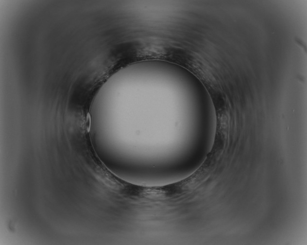 X0000092270617200709141202