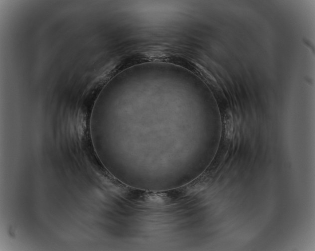 X0000092270618200709141202