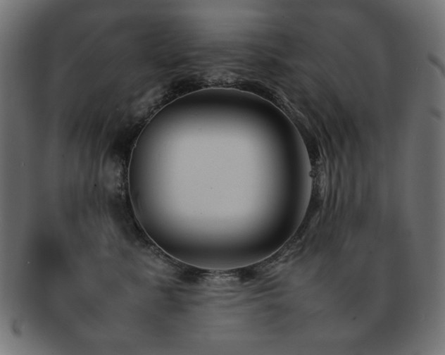 X0000092270619200709141202