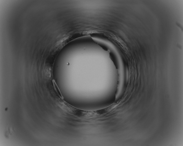 X0000092270621200709141202