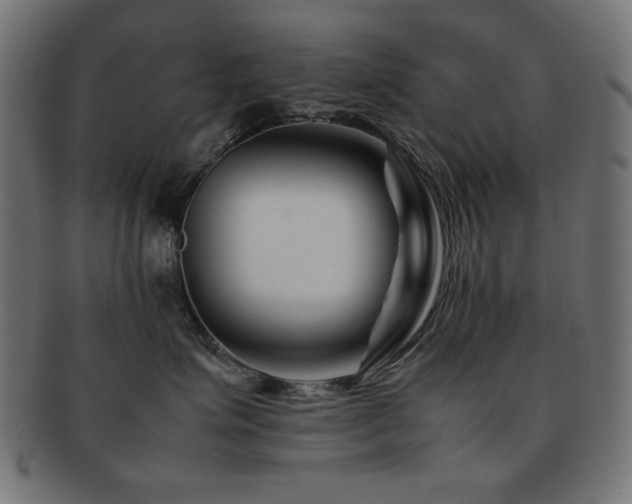 X0000092270623200709141202