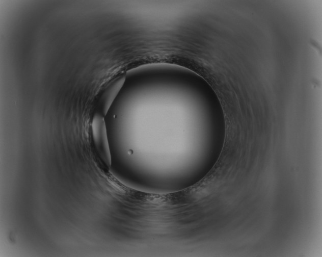 X0000092270624200709141202