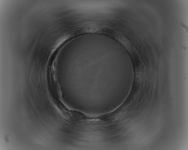 X0000092270626200709141202