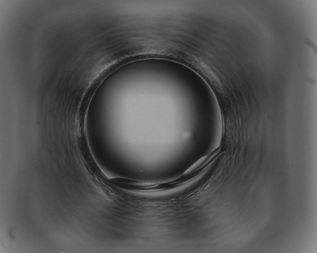 X0000092270628200709141202