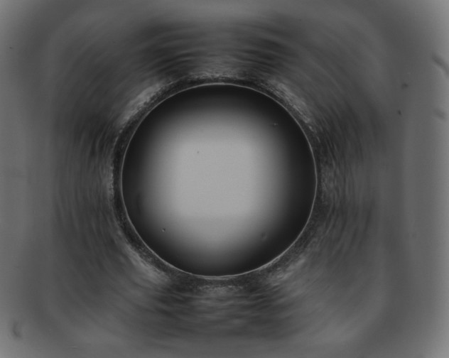 X0000092270629200709141202