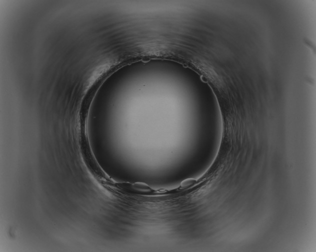 X0000092270630200709141202