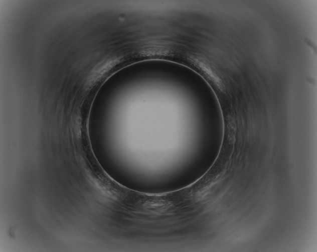 X0000092270631200709141202