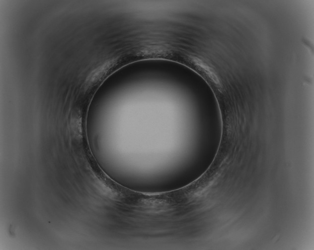 X0000092270633200709141202