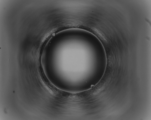X0000092270634200709141202
