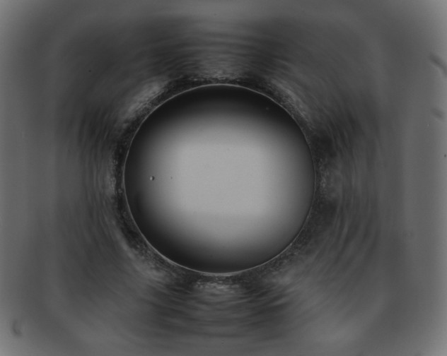 X0000092270635200709141202