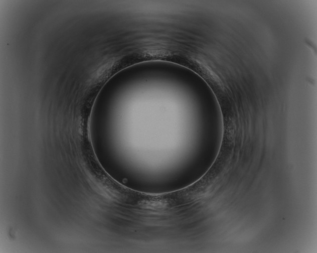X0000092270639200709141202