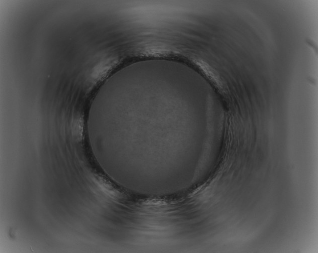 X0000092270640200709141202
